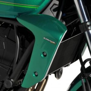 Ecopes Z 650 RS 2022/2026