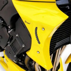 Ecopes (la paire) FZ 1 N 2006/2015