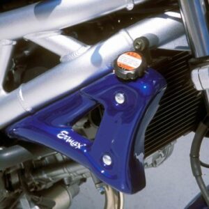 Ecopes SV 650 N 1999/2002