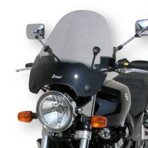 Pare brise Rider (H 50cm X L 42cm)