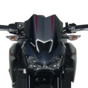 Tete de fourche Z 900 2017/2019